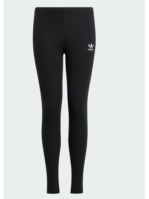rib leggings ADIDAS ORIGINAL | JC8424BLACK